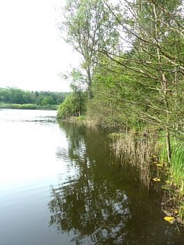 1-11 Oberteich bei Kasseedorf