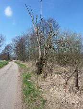 Naturschutzgebiet Moorgrtel