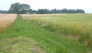 1-6 Weg durch Dnisch-Nienhof zum Strand