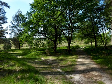 1.22 Weg zum Wilseder Berg