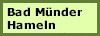 2.6 Bad Mnder - Hameln