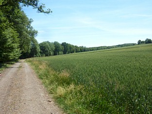 7.1 Weg